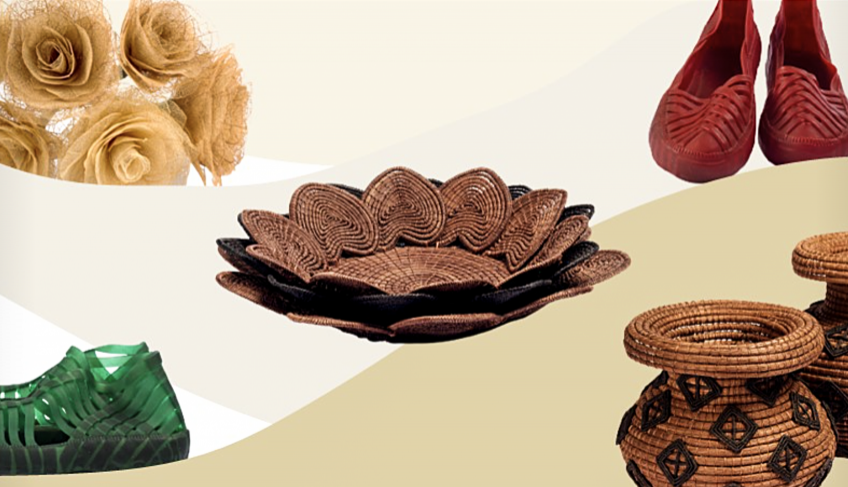 ASN Piauí - Agência Sebrae de Notícias