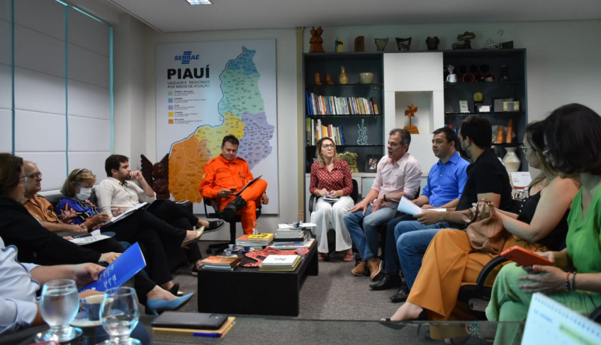 ASN Piauí - Agência Sebrae de Notícias