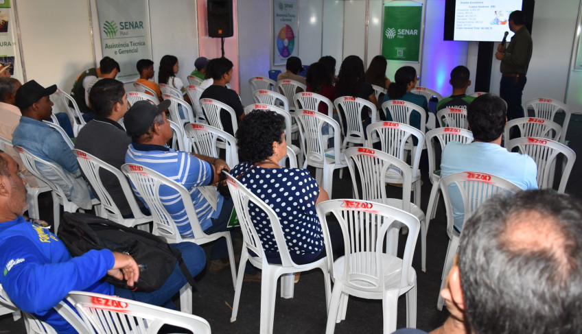 ASN Piauí - Agência Sebrae de Notícias