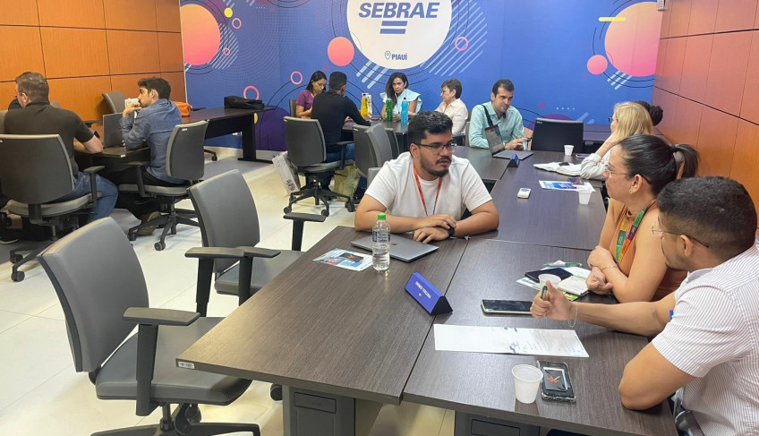 ASN Piauí - Agência Sebrae de Notícias