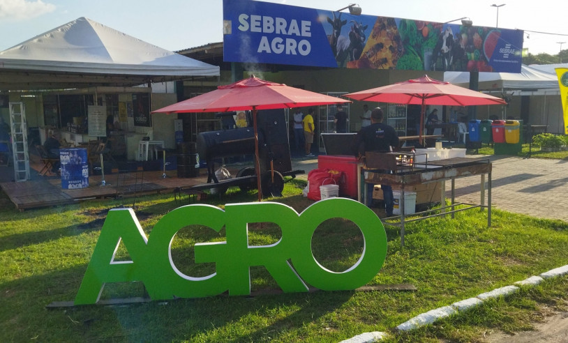 ASN Piauí - Agência Sebrae de Notícias