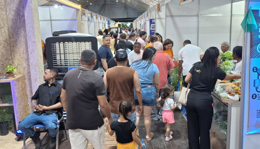 ASN Piauí - Agência Sebrae de Notícias