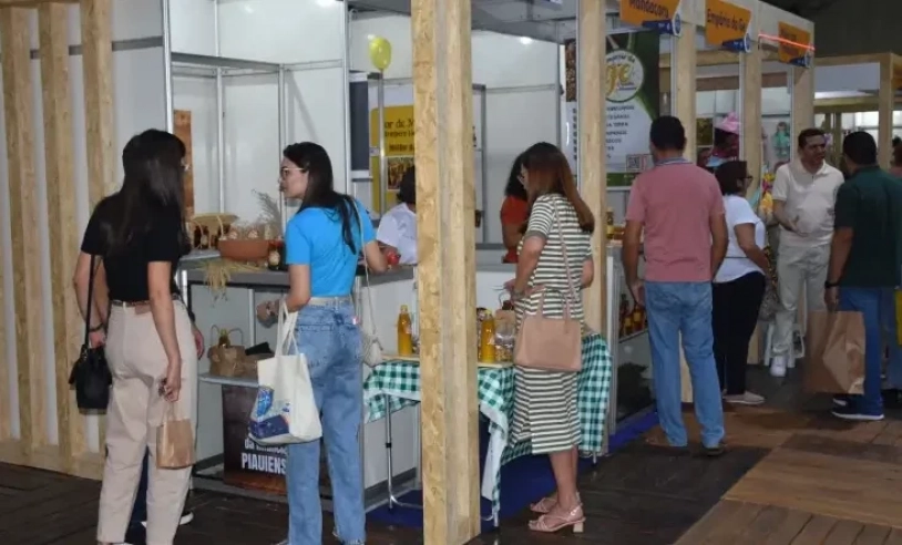 ASN Piauí - Agência Sebrae de Notícias