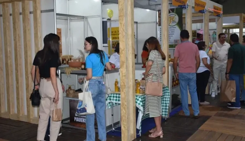 ASN Piauí - Agência Sebrae de Notícias