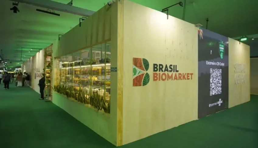 ASN Piauí - Agência Sebrae de Notícias