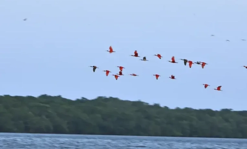 ASN Piauí - Agência Sebrae de Notícias