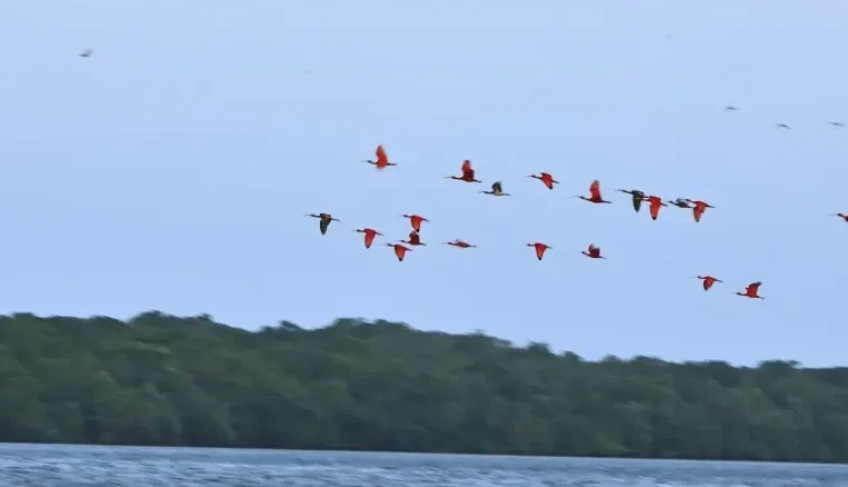 ASN Piauí - Agência Sebrae de Notícias