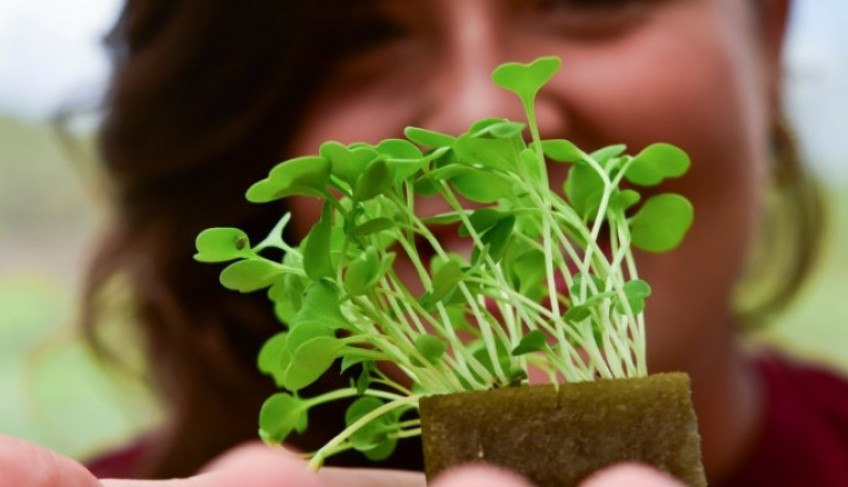 ASN Piauí - Agência Sebrae de Notícias