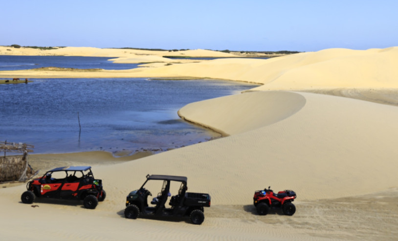 ASN Piauí - Agência Sebrae de Notícias