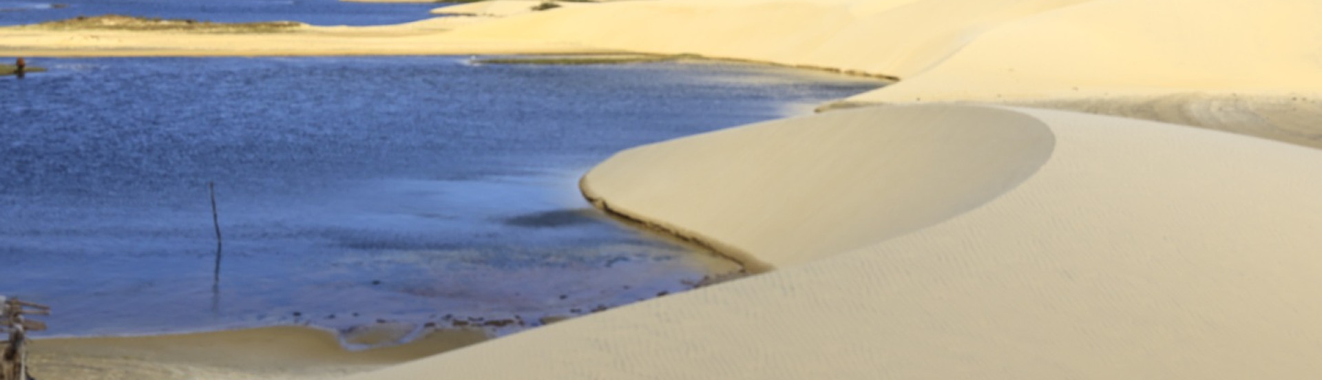 ASN Piauí - Agência Sebrae de Notícias