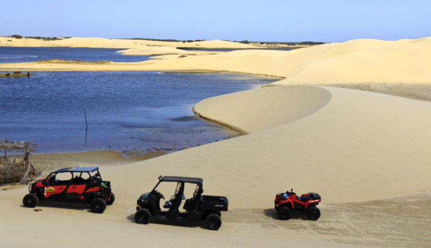 ASN Piauí - Agência Sebrae de Notícias