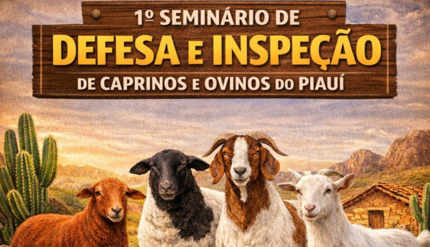 ASN Piauí - Agência Sebrae de Notícias