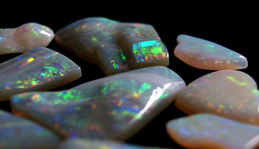 ASN Piauí - Agência Sebrae de Notícias