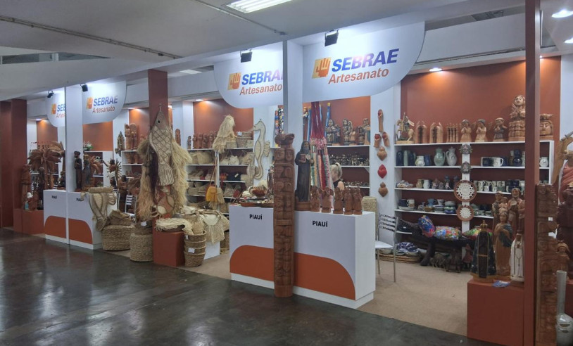 ASN Piauí - Agência Sebrae de Notícias